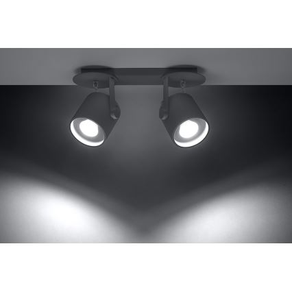 Φωτιστικό σποτ LAROSA 2 2xGU10/40W/230V γκρι