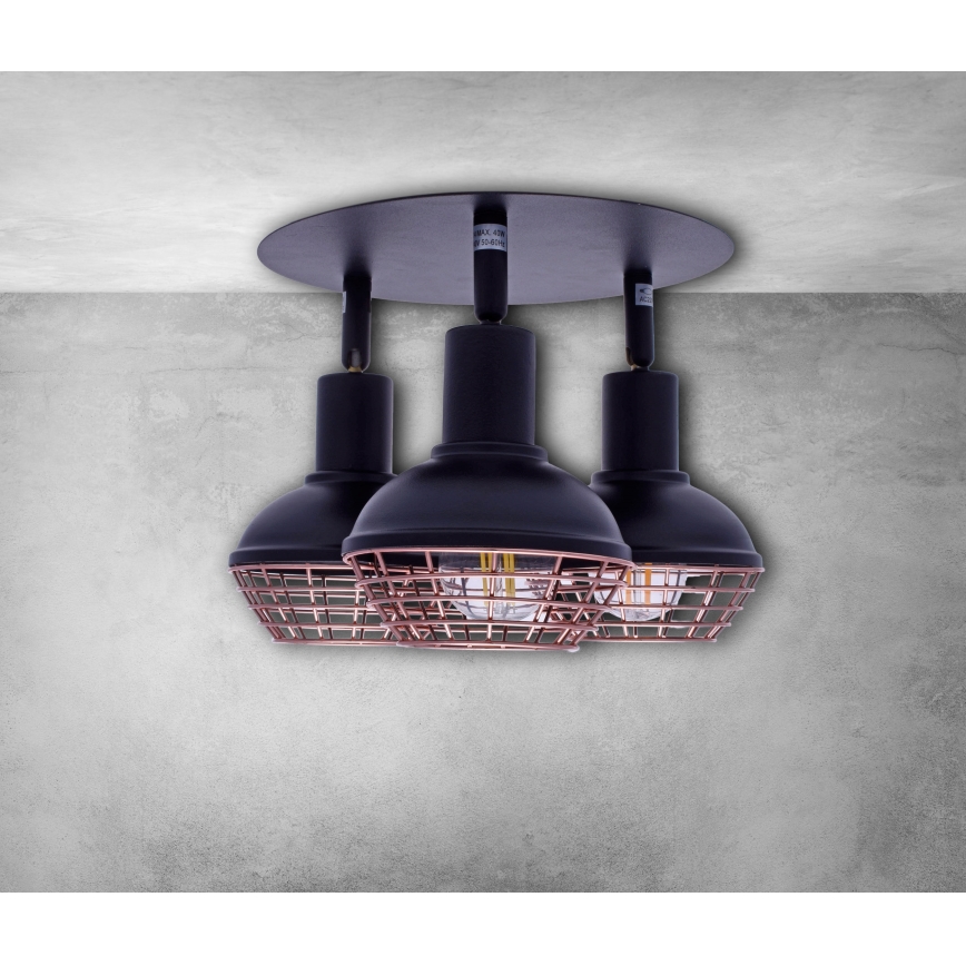 Φωτιστικό σποτ LOGAN 3xE14/40W/230V
