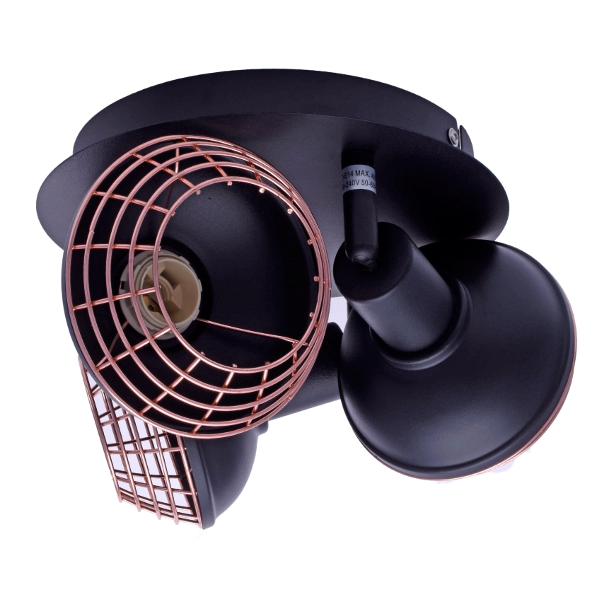 Φωτιστικό σποτ LOGAN 3xE14/40W/230V