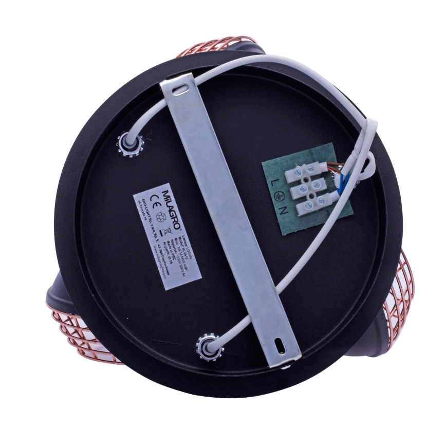 Φωτιστικό σποτ LOGAN 3xE14/40W/230V
