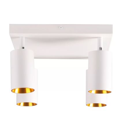 Φωτιστικό σποτ MARIBEL 4xGU10/10W/230V λευκό