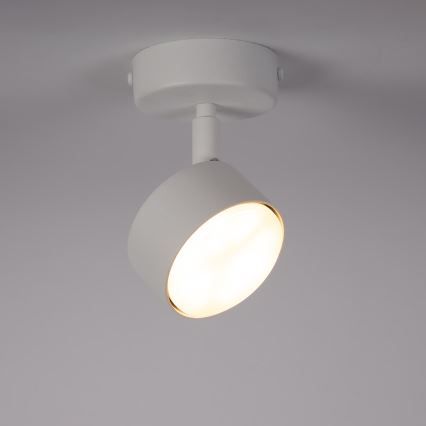 Φωτιστικό σποτ NEMO 1xGX53/12W/230V λευκό