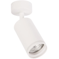 Φωτιστικό σποτ PIPE 1xGU10/10W/230V λευκό