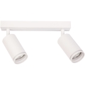 Φωτιστικό σποτ PIPE 2xGU10/10W/230V λευκό
