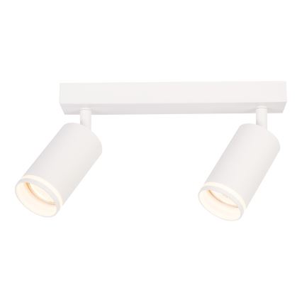 Φωτιστικό σποτ PIPE 2xGU10/10W/230V λευκό