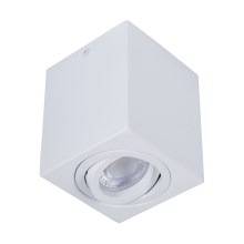 Φωτιστικό Σποτ SIN 1xGU10/50W/230V λευκό
