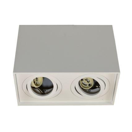 Φωτιστικό σποτ SIROCO 2xGU10/30W/230V λευκό