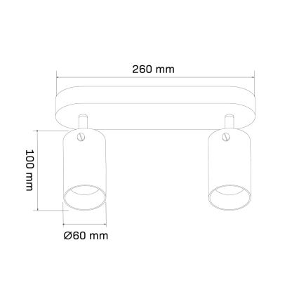 Φωτιστικό σποτ SMOKY 2xGU10/10W/230V μαύρο