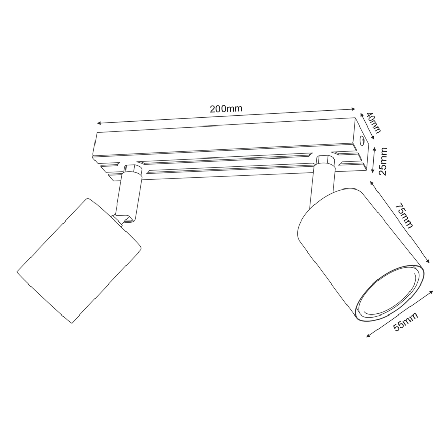 Φωτιστικό σποτ TERRA 2xGU10/8W/230V λευκό/δρυς