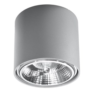 Φωτιστικό σποτ TIUBE 1xGU10-AR111/10W/230V
