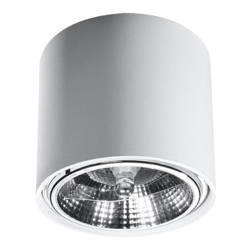 Φωτιστικό σποτ TIUBE1xGU10-AR111/10W/230V