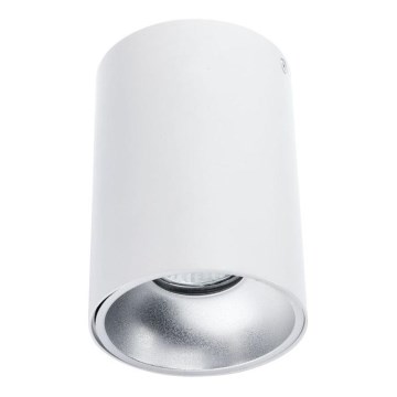 Φωτιστικό σποτ TUBA 1xGU10/50W/230V λευκό