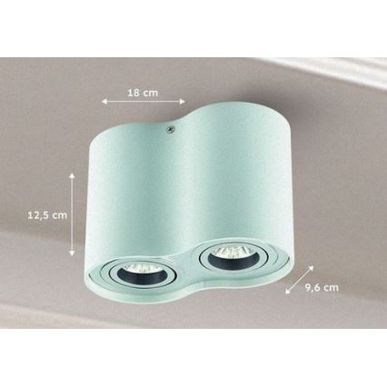 Φωτιστικό σποτ TUBA 1xGU10/50W/230V λευκό