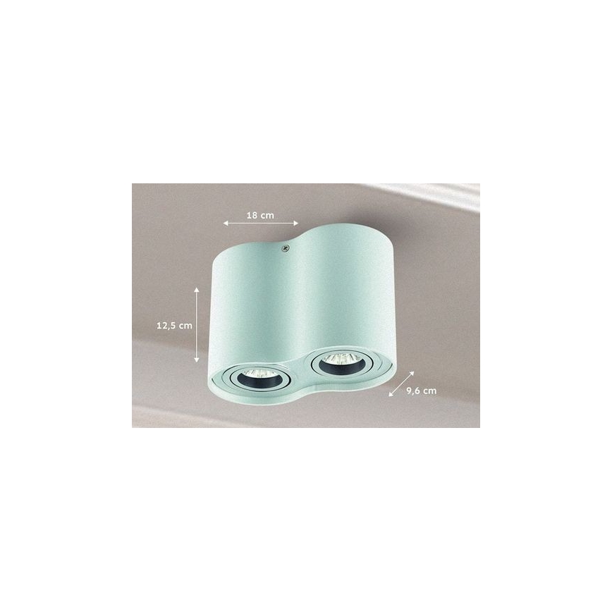 Φωτιστικό σποτ TUBA 1xGU10/50W/230V λευκό