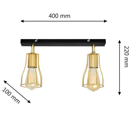 Φωτιστικό σποτ TUBE 2xE27/15W/230V χρυσαφί/μαύρο