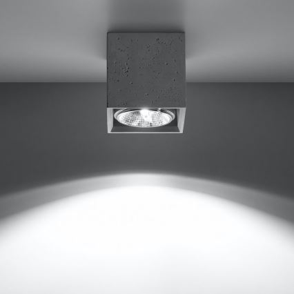 Φωτιστικό σποτ VALDE 1xGU10/40W/230V
