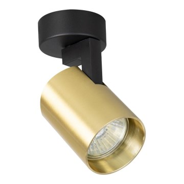 Φωτιστικό σποτ VOLF 1xGU10/10W/230V χρυσαφί/μαύρο