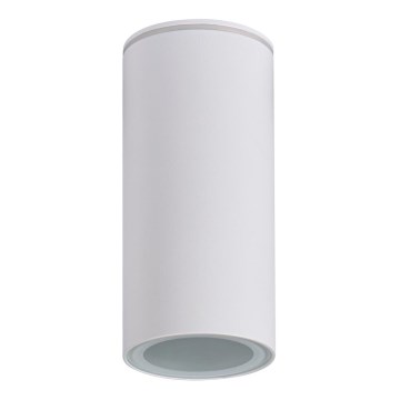 Φωτιστικό σποτ μπάνιου AQILO 1xE14/10W/230V IP65 λευκό
