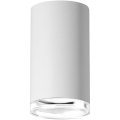 Φωτιστικό σποτ μπάνιου TURYN 1xGU10/10W/230V IP44 λευκό