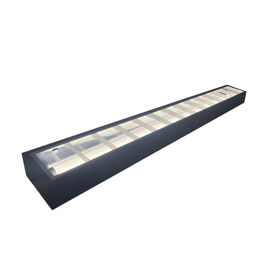 Φωτιστικό φθορίου T8 2xG13/18W/230V 120 cm μαύρο
