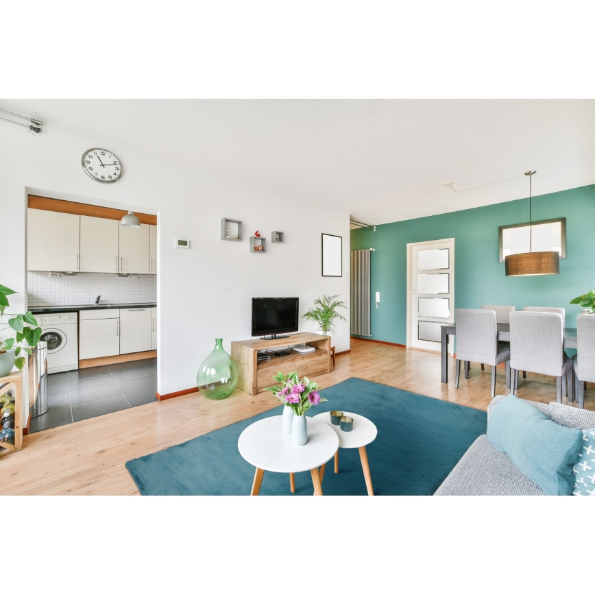 Χαλί RABBIT-ROSA NEW 80x150 cm 2000g/m2 τουρκουάζ