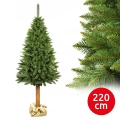 Χριστουγεννιάτικο έλατο με κορμό, ύψος 220 cm
