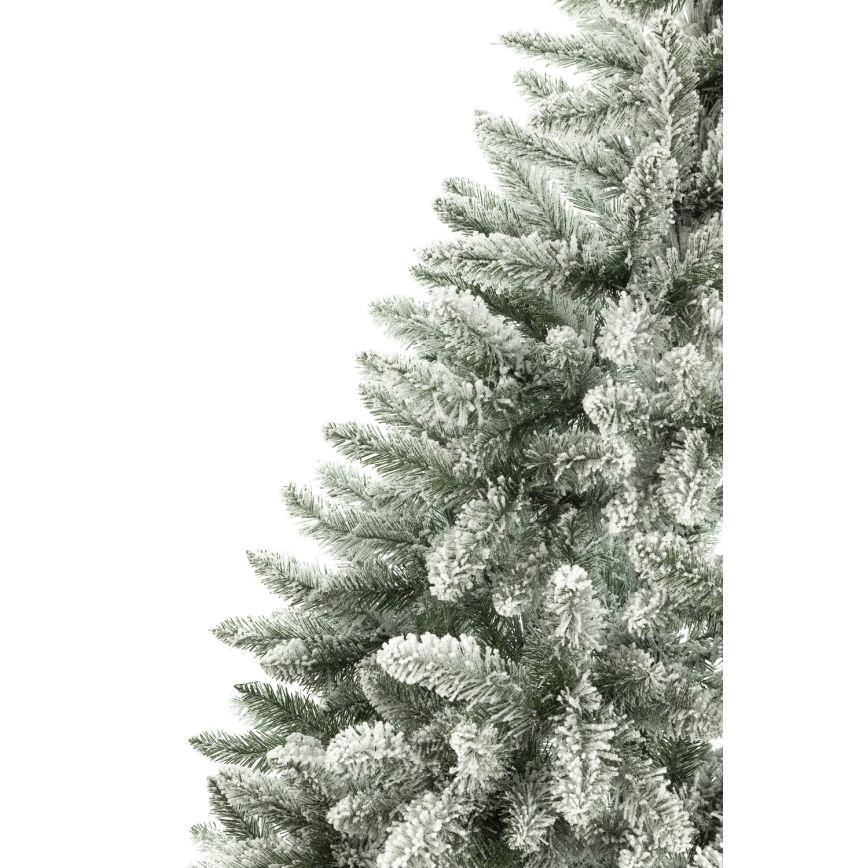 Χριστουγεννιάτικο δέντρο 180 cm ερυθρελάτη