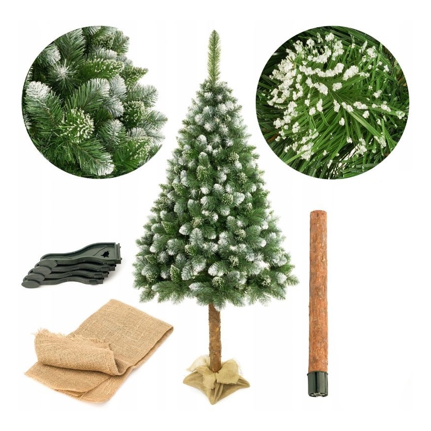 Χριστουγεννιάτικο δέντρο σε κορμό 220 cm πεύκο