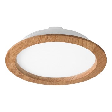 Χωνευτό Φωτιστικό LED WOODY SPOT LED/23,5W/230V 4000K δρυς ø 23,5 cm