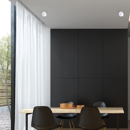 Χωνευτό φωτιστικό σποτ BALI 1xGU5,3/MR16/25W/12V στρογγυλό λευκό