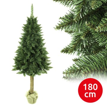 Χριστουγεννιάτικο δέντρο σε κορμό 180 cm έλατο