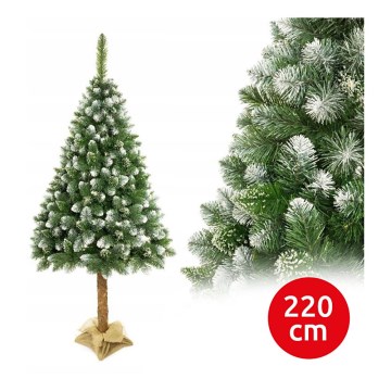 Χριστουγεννιάτικο δέντρο σε κορμό 220 cm πεύκο