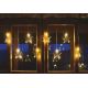 Χριστουγεννιάτικα λαμπάκια LED εξωτερικού χώρου 8xLED/5,84m IP44 αστέρια