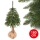Χριστουγεννιάτικο δέντρο PIN 180 cm ερυθρελάτη