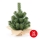 Χριστουγεννιάτικο δέντρο XMAS TREES 30 cm πεύκο