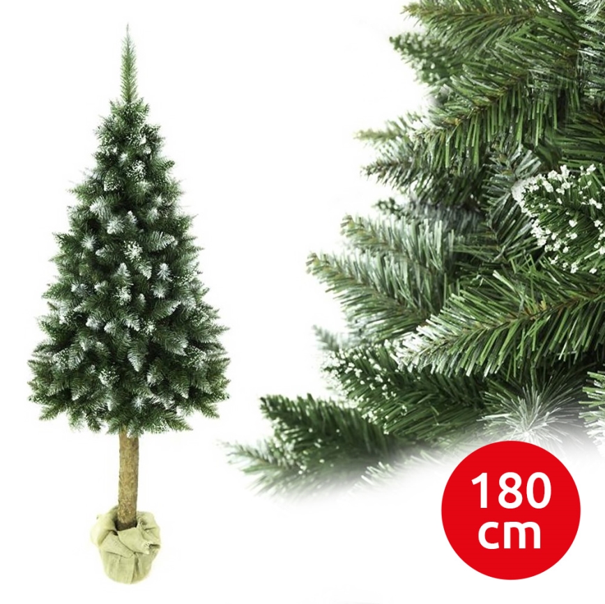 Χριστουγεννιάτικο δέντρο με κορμό 180 cm έλατο