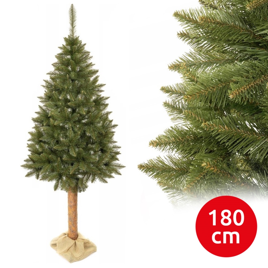 Χριστουγεννιάτικο δέντρο με κορμό 180 cm ερυθρελάτη