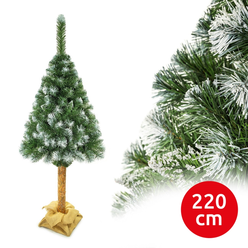 Χριστουγεννιάτικο δέντρο με κορμό 220 cm πεύκο