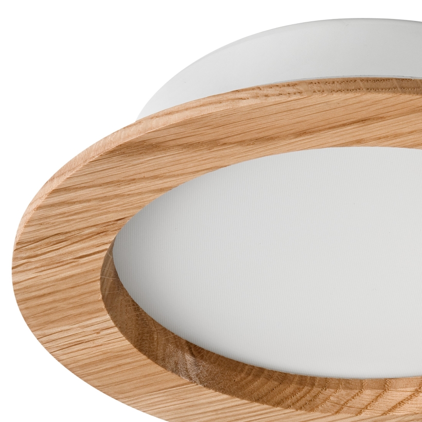 Χωνευτό Φωτιστικό LED WOODY SPOT LED/16,5W/230V 4000K δρυς ø 18,5 cm