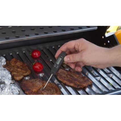 Ψηφιακό θερμόμετρο κρέατος -50-150°C 1xLR44